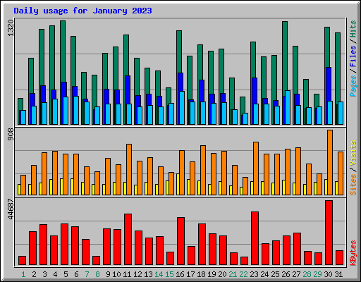 Daily usage for January 2023