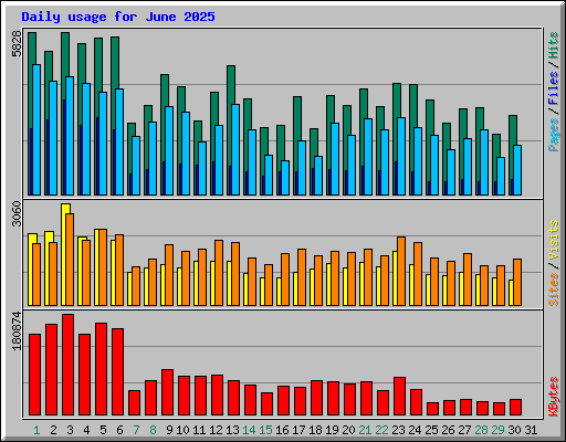 Daily usage for June 2025