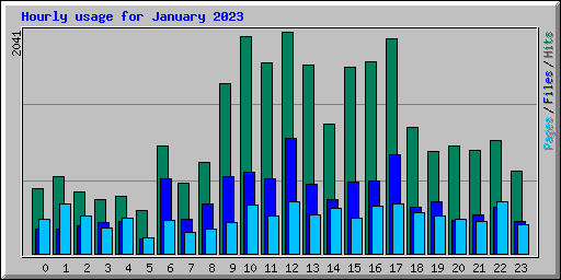 Hourly usage for January 2023